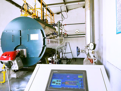 8吨低氮冷凝燃气锅炉厂