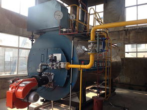 4吨燃气锅炉价格 医院用锅炉