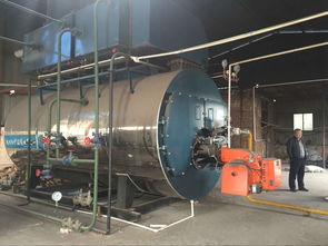 4吨燃气锅炉价格,4吨锅炉耗气量