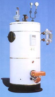 燃气锅炉图片,燃气锅炉高清图片 济南市长清区蓝碧供热设备厂,