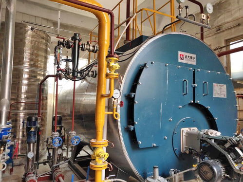 驻马店中医院燃气锅炉现场,制药杀菌供暖用锅炉