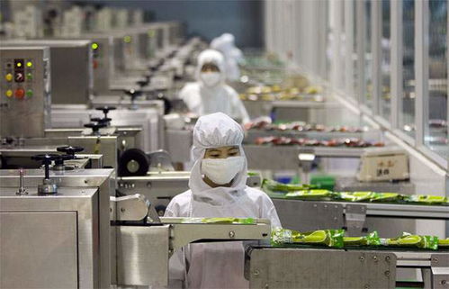 食品厂供应蒸汽用什么锅炉好 食品厂燃气蒸汽锅炉什么厂家好