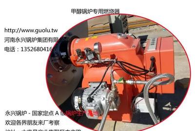 【湖州燃气蒸汽锅炉 冷凝锅炉 天然气锅炉价格 燃气锅炉厂家直销】价格_批发_厂家_参数_图片_燃气锅炉 -