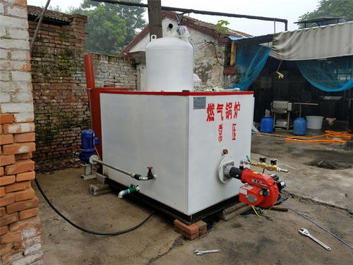 蓝山锅炉 图 ,蒸馒头用燃气锅炉,滨州燃气锅炉