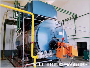 2吨燃气锅炉,2吨天然气锅炉价格