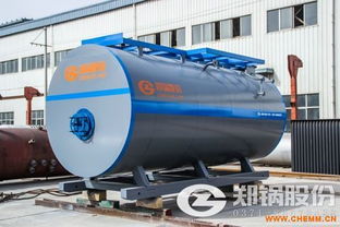 6吨燃气蒸汽锅炉价格制药厂用