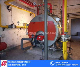 阜阳2t液化气蒸汽锅炉价格 蒸汽锅炉 远大太康锅炉厂 查看