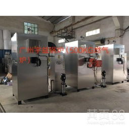 【腐竹厂生产设备宇益免年检500公斤天然气锅炉】-