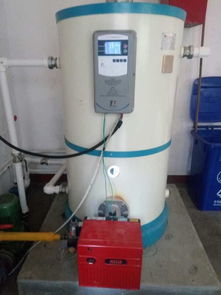 常压燃气锅炉大众家乐采暖锅炉