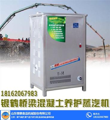 马路养护燃气锅炉,银鹤节能设备厂,东营燃气锅炉