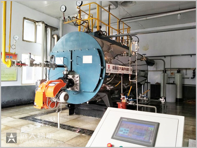 孟加拉国食品加工厂6吨燃气蒸汽锅炉正式运行,工况良好