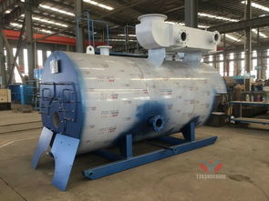 【2t3t河北邢台低氮30mg燃气锅炉立式卧式环保锅炉热水洗浴供暖炉子】-