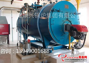 晋城液化气蒸汽锅炉