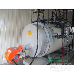 许昌1吨燃气锅炉：LNG环保锅炉的卓越选择