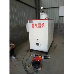 张家界与蓝山燃气锅炉在馒头坊的应用与优势