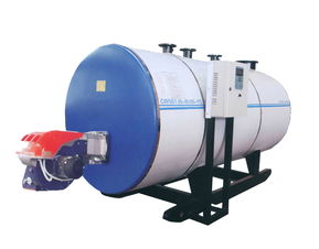 燃气锅炉在秦皇岛 价格、型号规格与使用指南