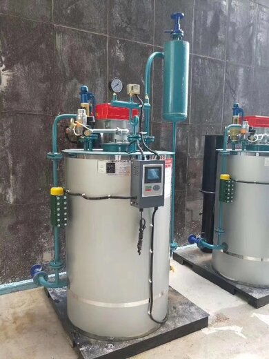 陇南生物质蒸汽锅炉与燃气锅炉 特点、应用及选择建议