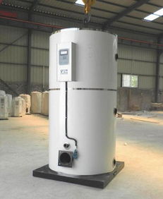 盛京大众洗浴燃气锅炉 高效节能的澡堂热水解决方案